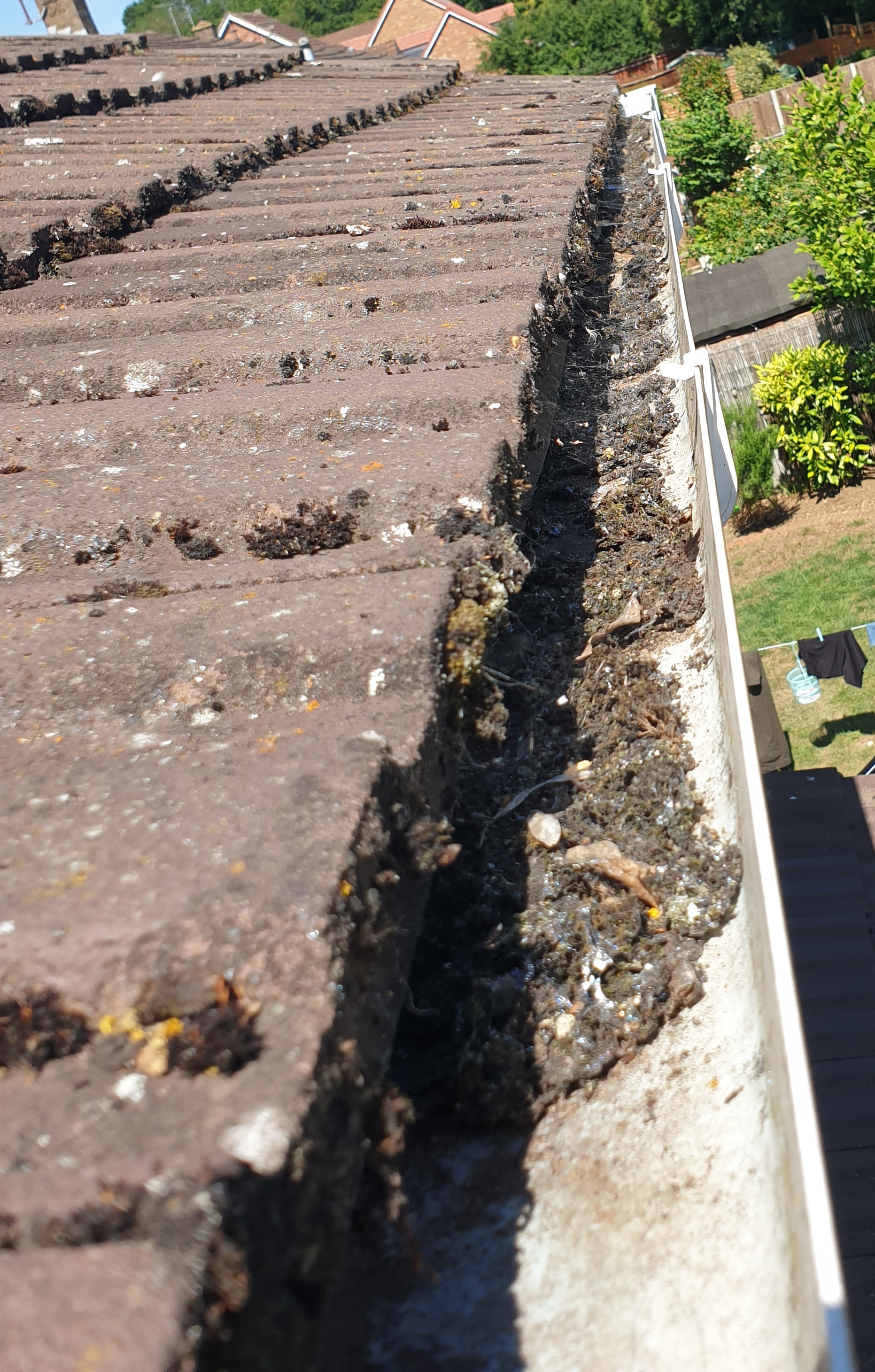 Blocked gutter before professional clearing